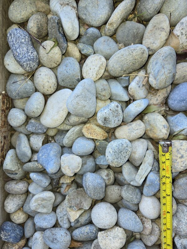 1 1/2" Noya Cobble